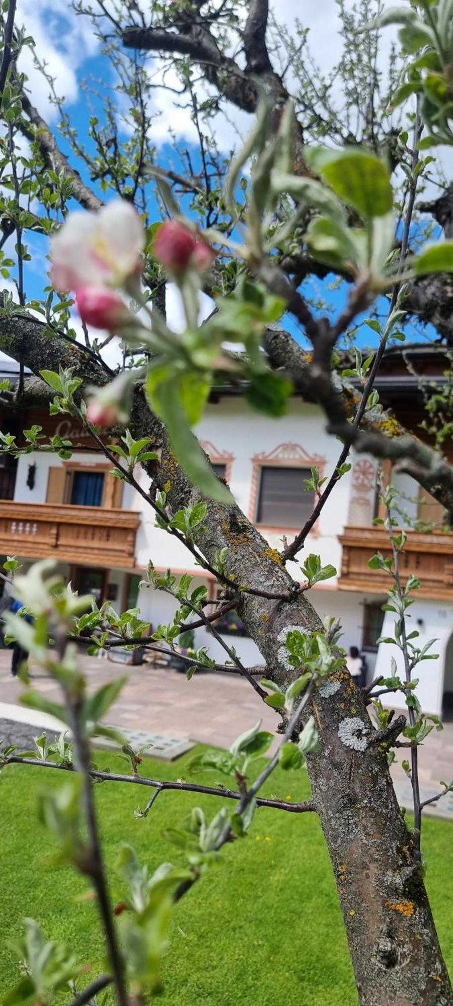 B&B Ciauceia Селва ди Вал Гардена Екстериор снимка
